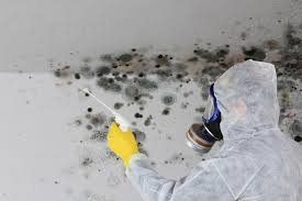 Best Air Quality Testing for Mold Spores  in Laguna Park, TX